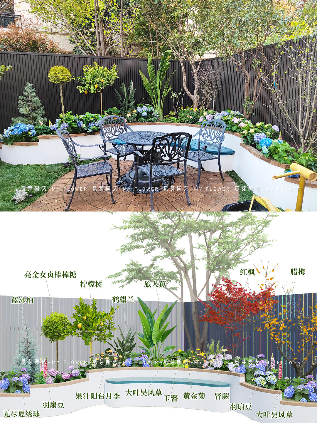 【治愈系】春夏花坛植物清单，美得让人心动