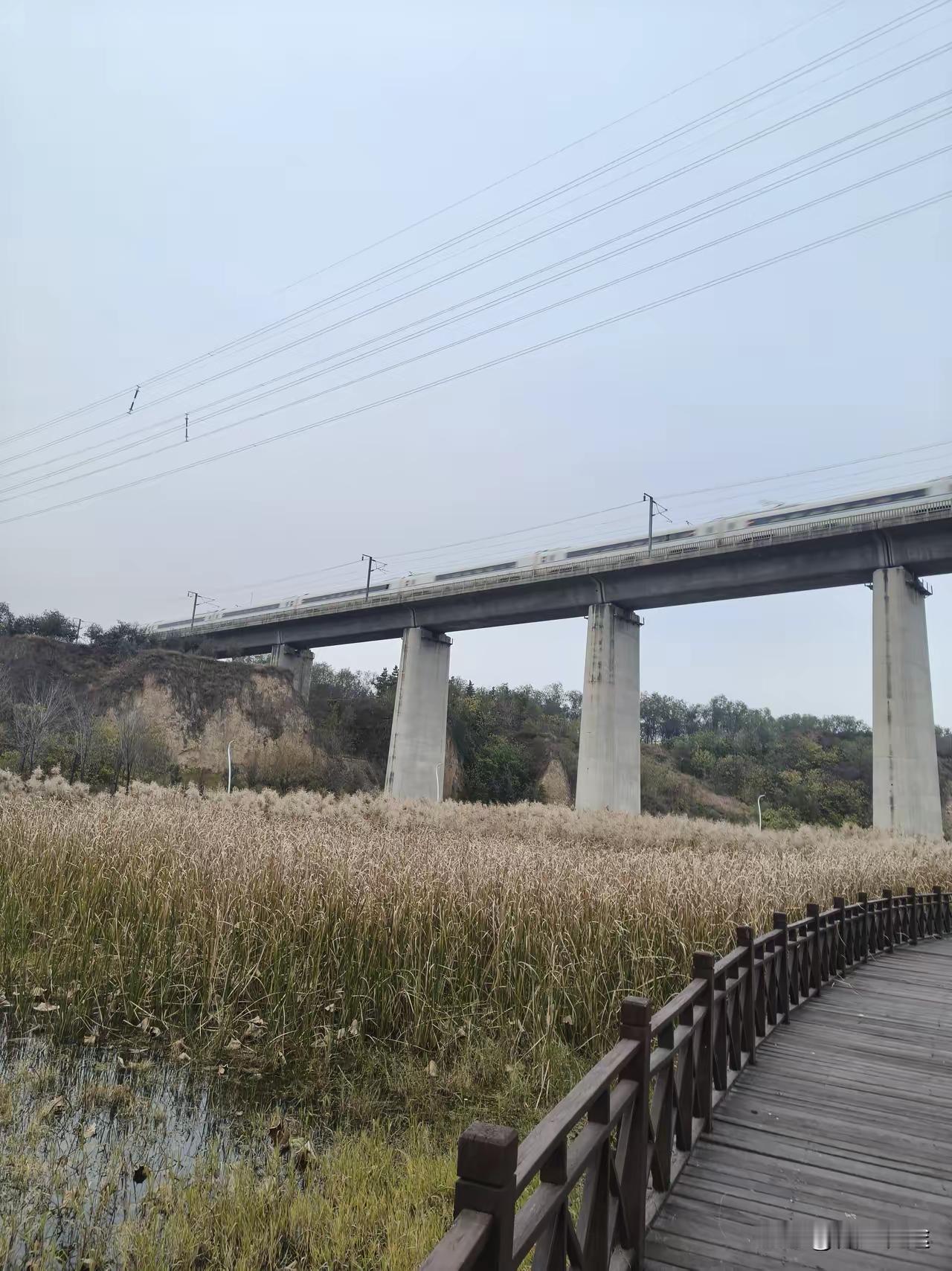 女大学毕业生就业有多难？身边案例扎心了：优秀女孩扎堆考编，私企却挑三拣四！