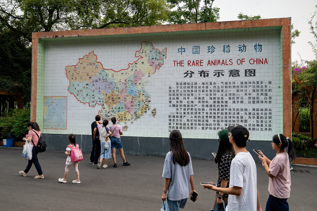 纽约时报今天报道：“中国西南部的内陆城市成都常因其慢节奏和悠闲的生活方式被调侃。