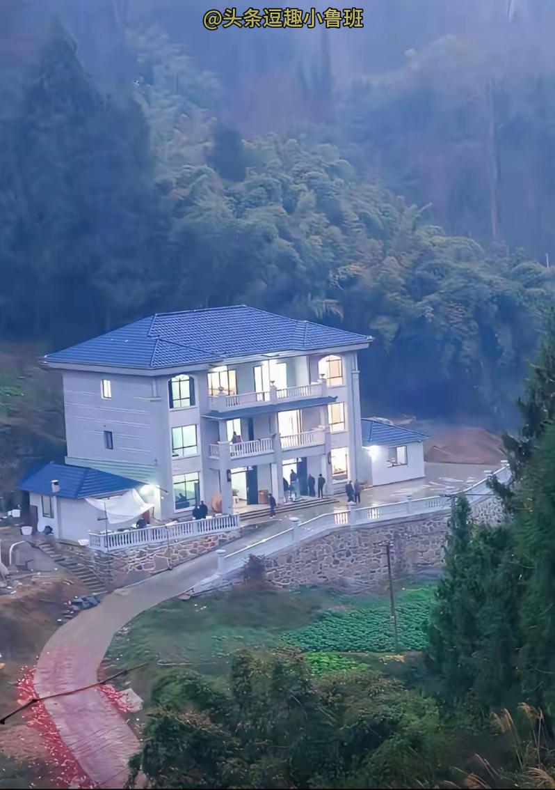 实在想不通，这么大气的房子为啥要配两个小耳朵？