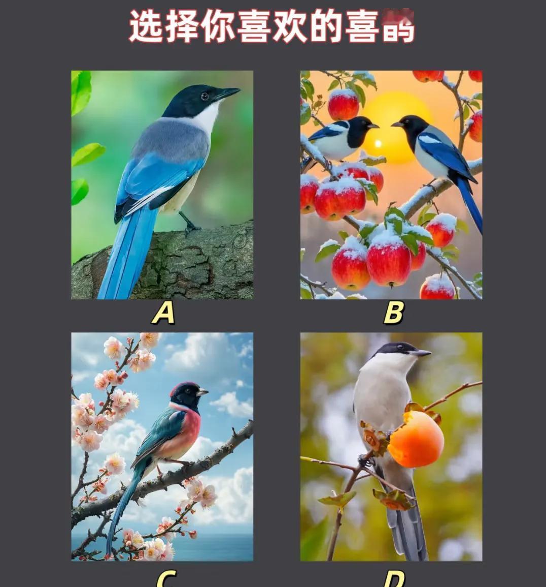 测测看👀你家最近有什么喜事来临？？选择喜欢的喜鹊看看有什么喜事来临请大家