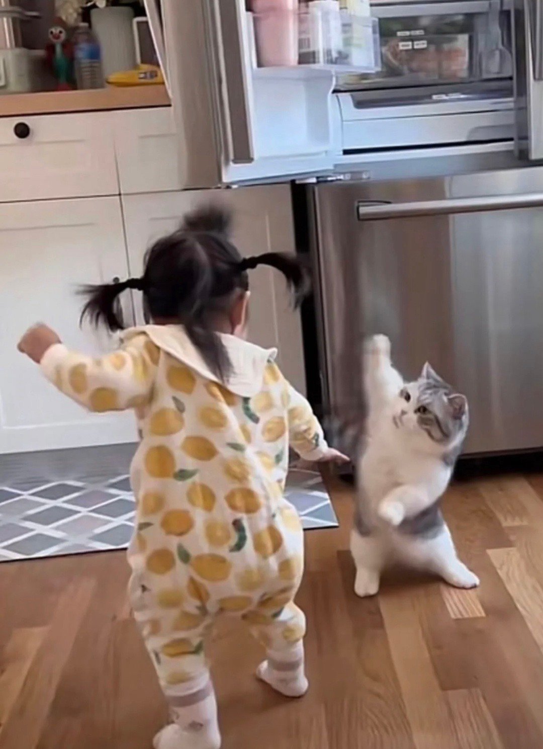 猫猫和人类幼崽正在为冰箱里最后一盒酸奶大打出手​​​