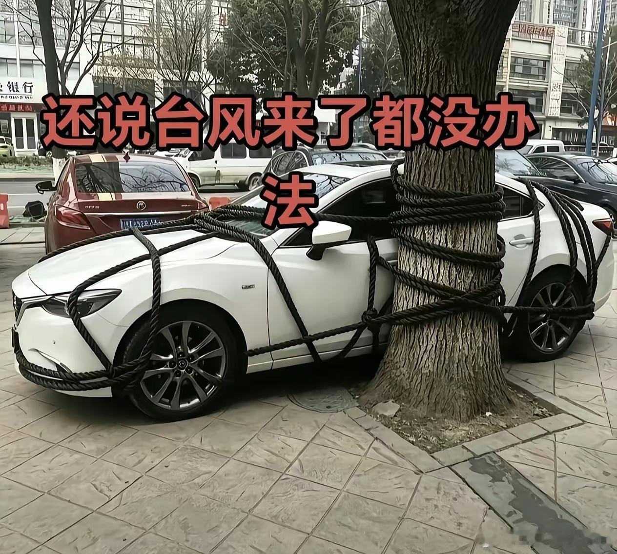 台风要来了，终究还是失算了……