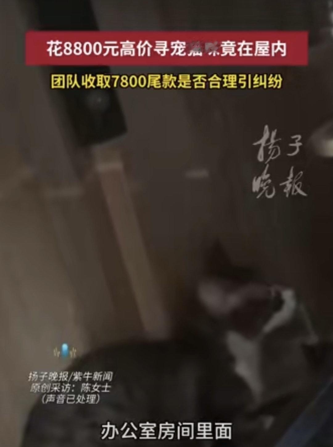 上海一位女士发现办公室的猫不见了，心里又急又慌，赶紧联系了一家寻宠团队，对方报价