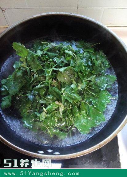 这野菜路边很多, 但是没人吃! 其实比胡萝卜都有营养!