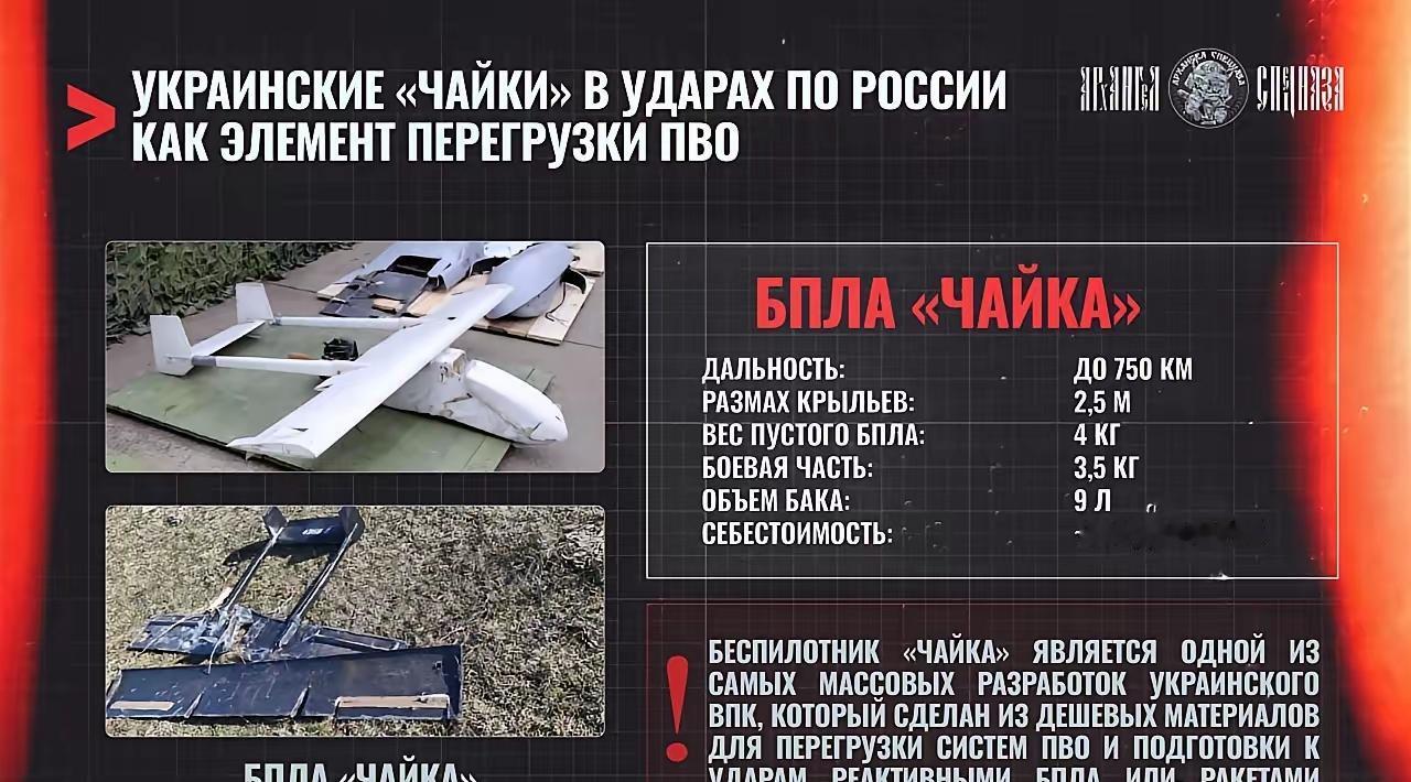 谈到飞向俄罗斯境内的无人机数量之多，有一点值得一提：其中绝大多数无人机几乎是用“