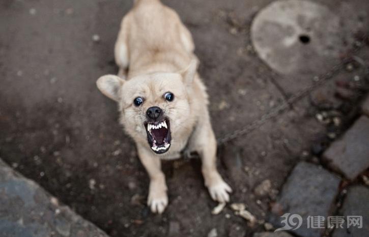一个地级市，仅半年时间就出现狂犬病患者1393例，就凭这一点，国家是真的应该限制