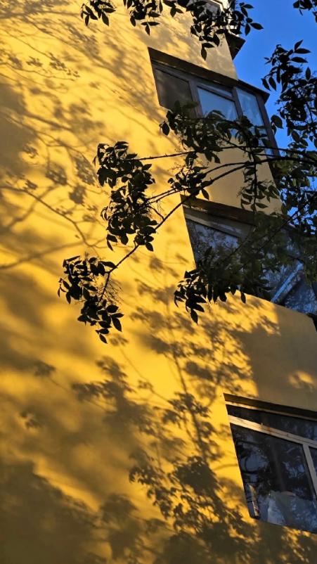 “38号文”一出，我就把挂了两年的房子给撤了。中介都懵了，说姐你疯了？现在才