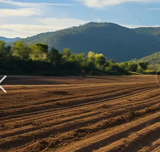 河北邯郸，男子家一块地被征收了，却没有收到赔偿款，他让妻子和女儿去信访，村支书拒