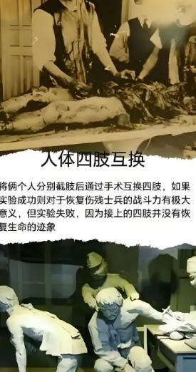 日本人为了满足好奇心，拿活人做马血互换实验，四肢互换实验，731部队这些反人类的
