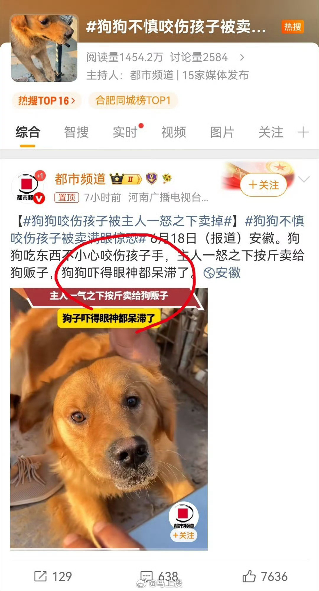 黑狗咬人被主人卖掉吓得眼神呆滞又是都市频道！和狗狗不慎咬伤孩子被卖满眼惊恐一样