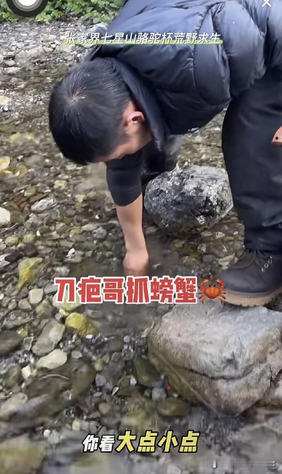 张家界荒野求生赛刀疤哥抓蟹翻车！伸手就跑一只，网友：这技术不如村口大爷