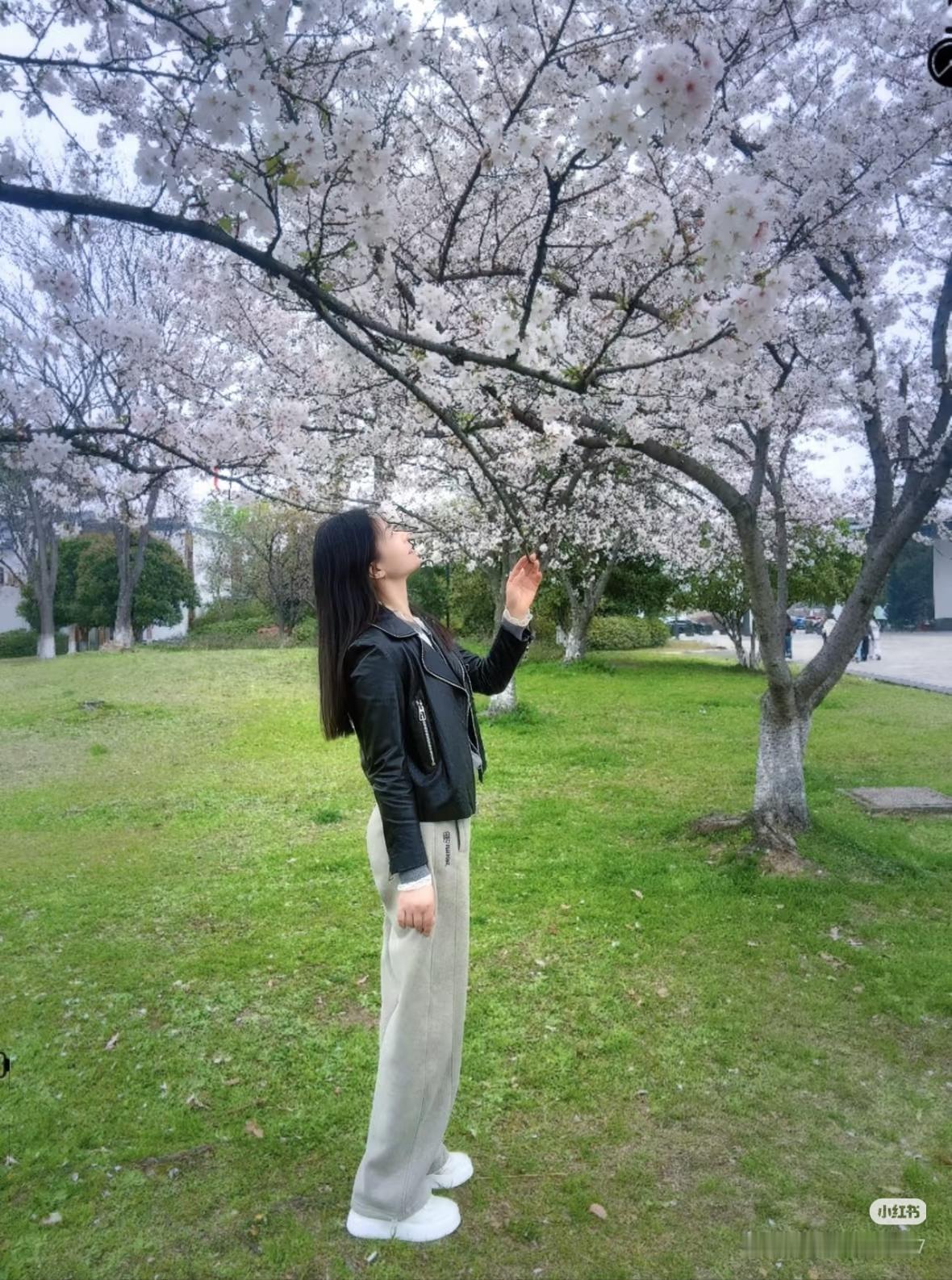 樱花树下少女梦，春日暖阳洒满怀。🌸💕