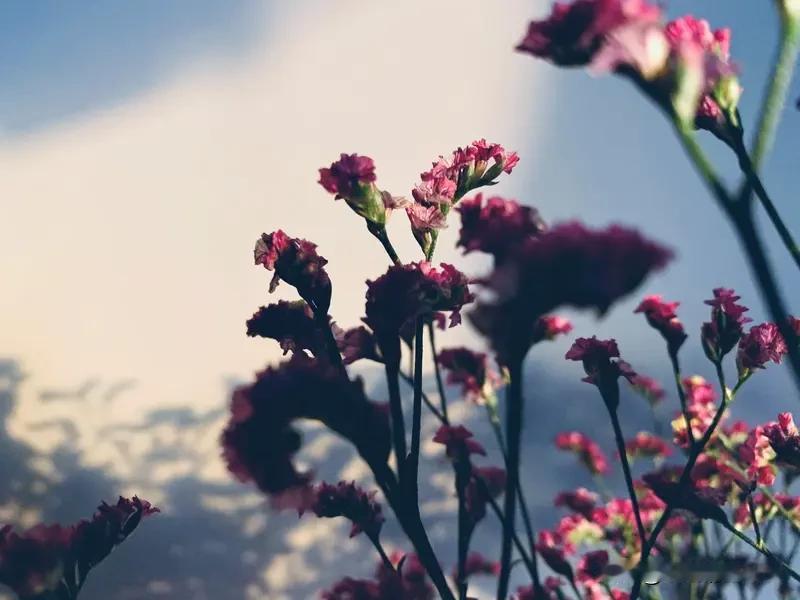 天呐！天秤座2026年1月21日运势开挂啦！这一天简直好运爆棚！家庭里能感受到