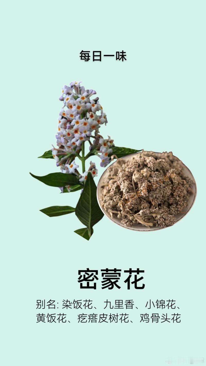这味“明目仙草”堪称护眼“黄金钥匙”！逆转视力衰退、消散黄斑病变，干眼症患者重获