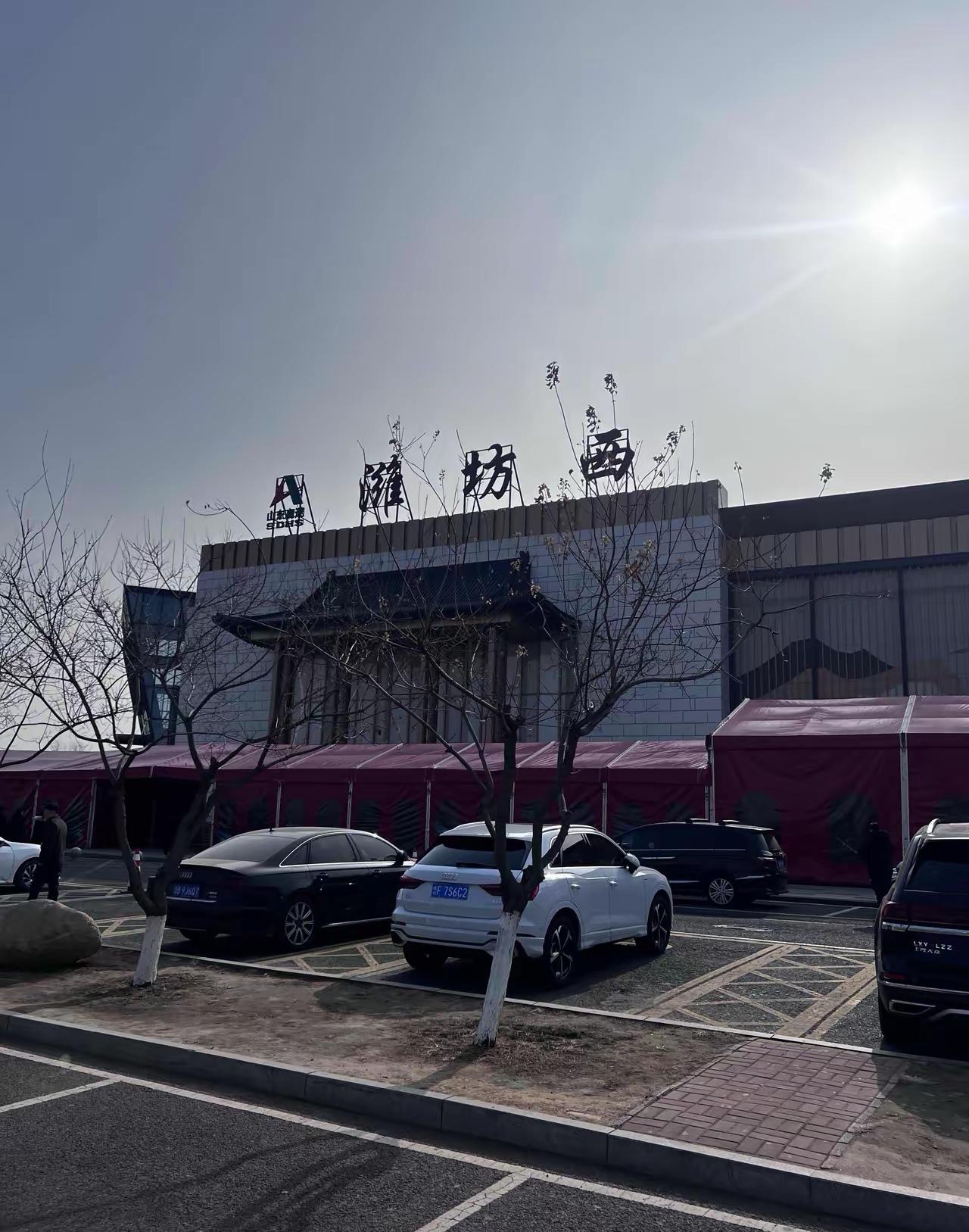 今日运势：丙午年庚寅月己未日2026.2.14日鼠：少说多做避免吃亏