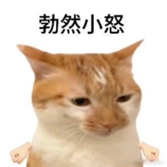 现在做开发真的很难完全不用AI讨论AI对于程序员的影响，它可以用来学习思路、解决