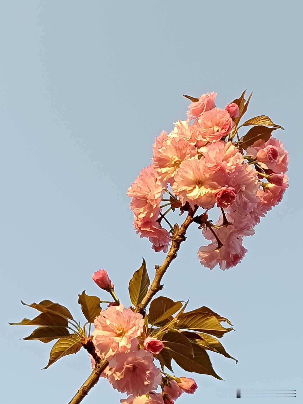 谁家祖上还没个皇帝?一、赵家--赵匡胤建立宋朝二、钱家--钱镠建立吴越国三