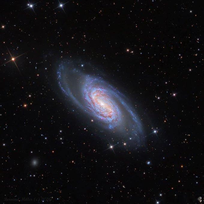 NGC2903—狮子座中孤独的棒旋星系漂流在狮子座星空中，距离地球大约30