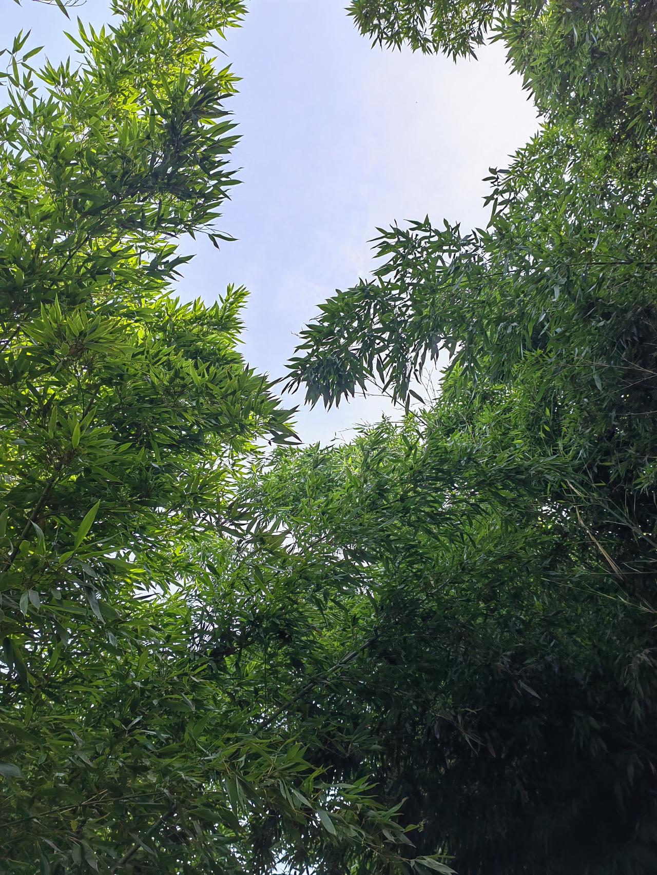 近几年，无理投诉学校及教师的事越来越多，某地小学期终考试时间都改了几次，因为家长
