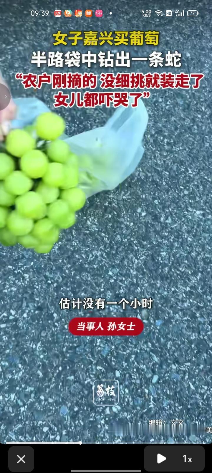 8月25日，嘉兴市海盐县。网友发视频称，当地盛产葡萄，葡萄是农户刚摘的，买的时候