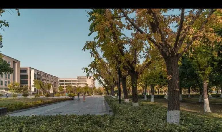 今早我彻底跟我儿子和儿媳妇闹掰了！起因就是因为给孙女扎头发这点小事。我是知道的，
