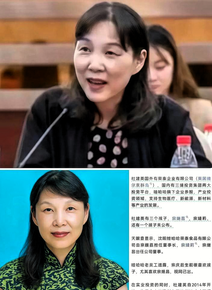 跟风八卦一下娃哈哈宗家争产案。现在网上全是骂小三的，可谁又想过当年的实际情况