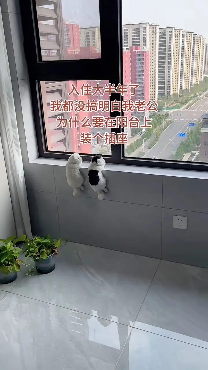 入住大半年了，我都没搞明白，我老公为什么要在阳台上装个插座。