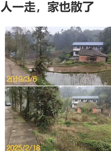 炊烟袅袅，已成隔世往事。