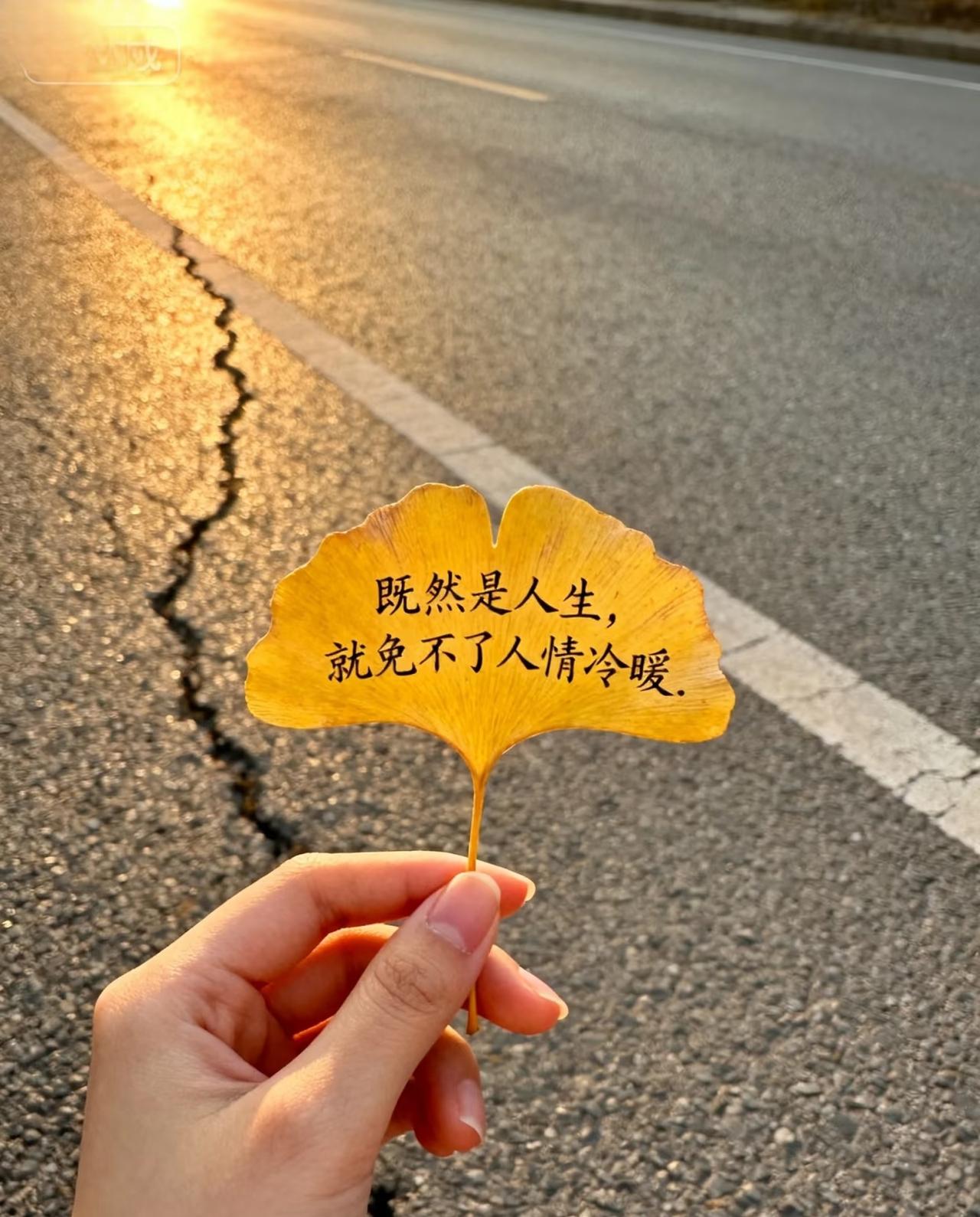 杜强哑了这事儿,圈里人都心知肚明,可谁也不敢摆到台面上笑。这个明明没彻底消失,却