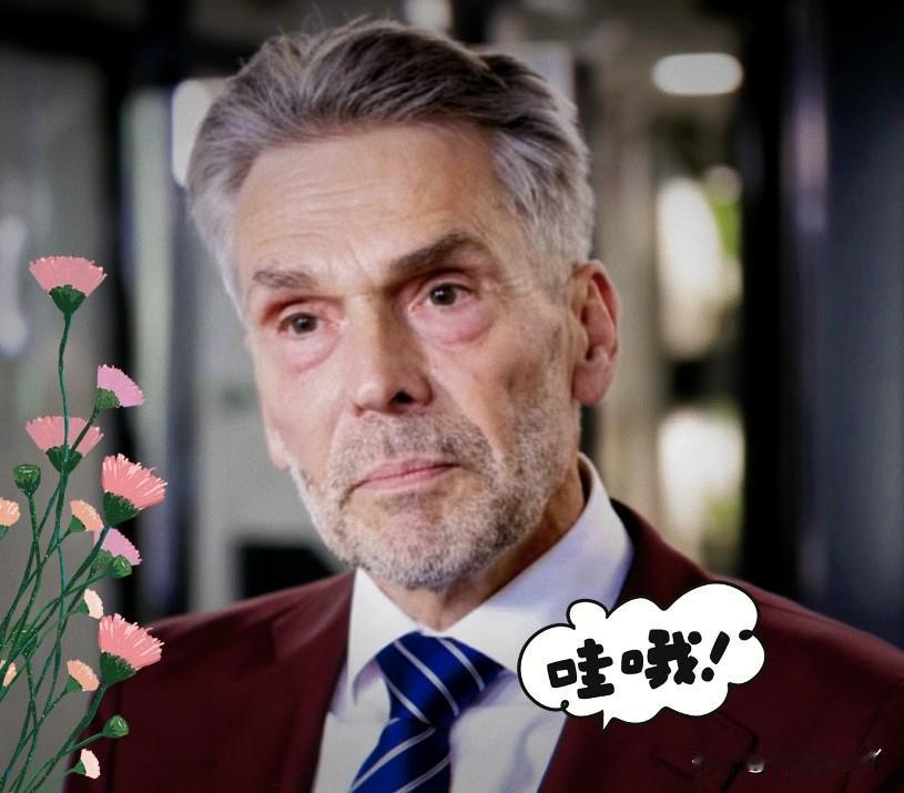 快报！安世半导体开始分家行动了安世半导体原本是一家由中资控股的荷兰企业，