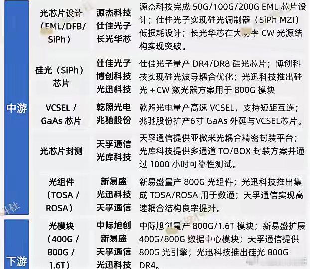 光芯片是AI时代确定性最高的赛道之一，封装测试占成本一半，光模块采购量在部分年份