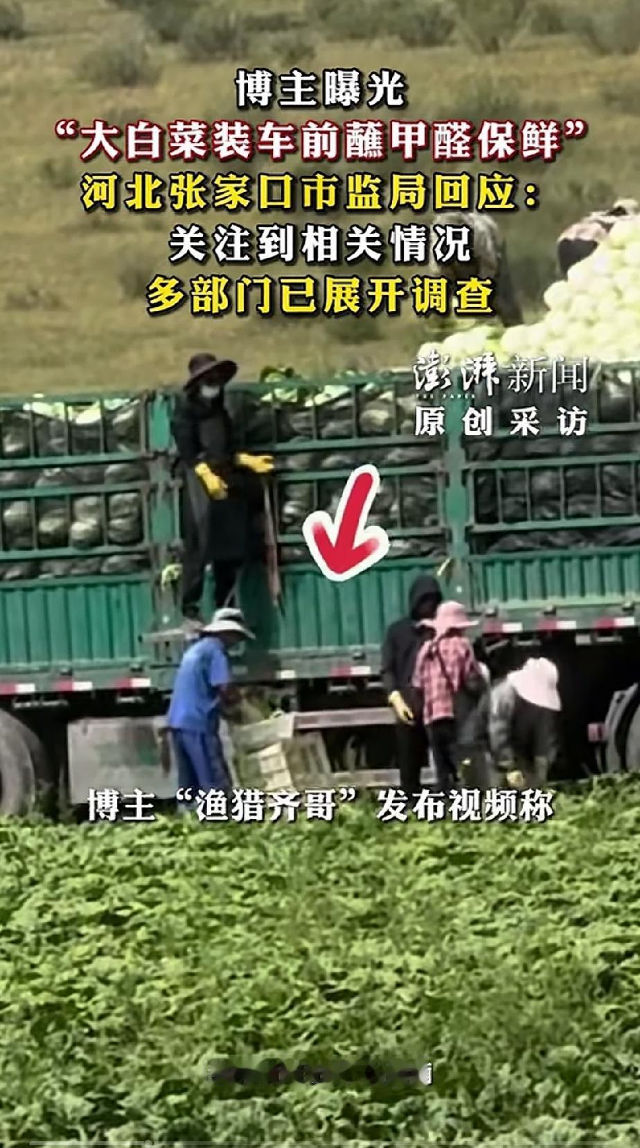 又发现甲醛白菜，人类啊，真是好强大的基因，能做到百毒不侵！什么甲醛、苏丹红、三聚