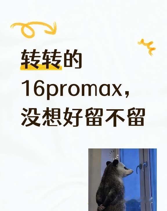 转转的16promax，没想好留不留有没有姐妹在转转买过16pm啊…我昨