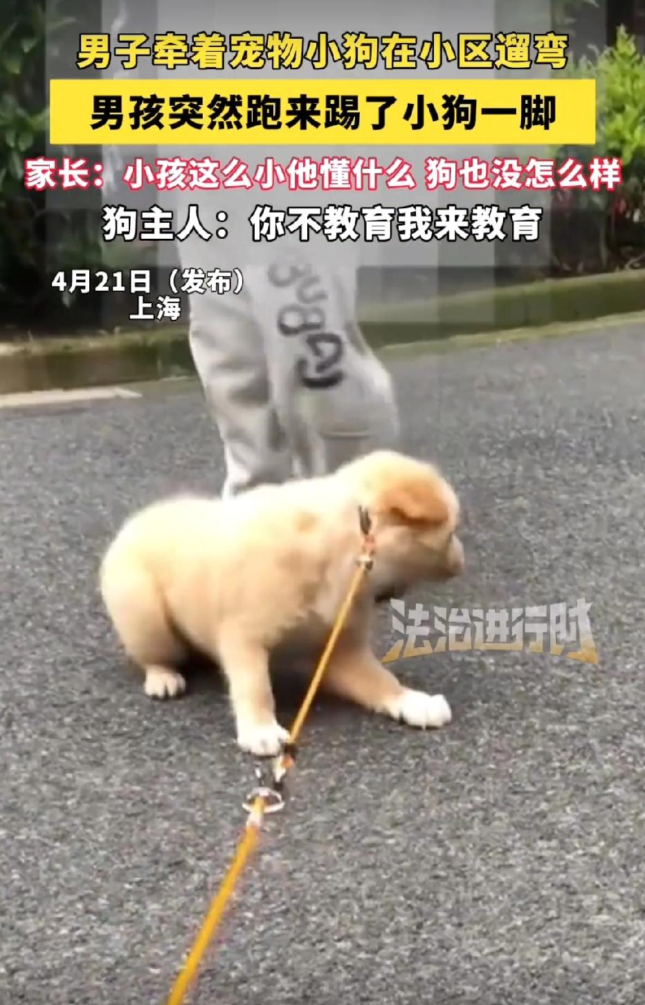 上海，男子牵着宠物狗在小区遛弯，没想到，一小孩突然上前踢了宠物狗一脚。男子上前要
