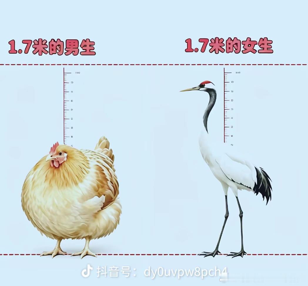 哈哈哈哈真的好形象