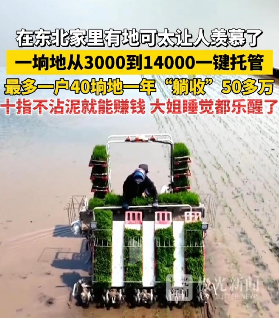 东北一垧地（15亩）托管，太便宜了吧？3000—14000元，不就是一亩200—