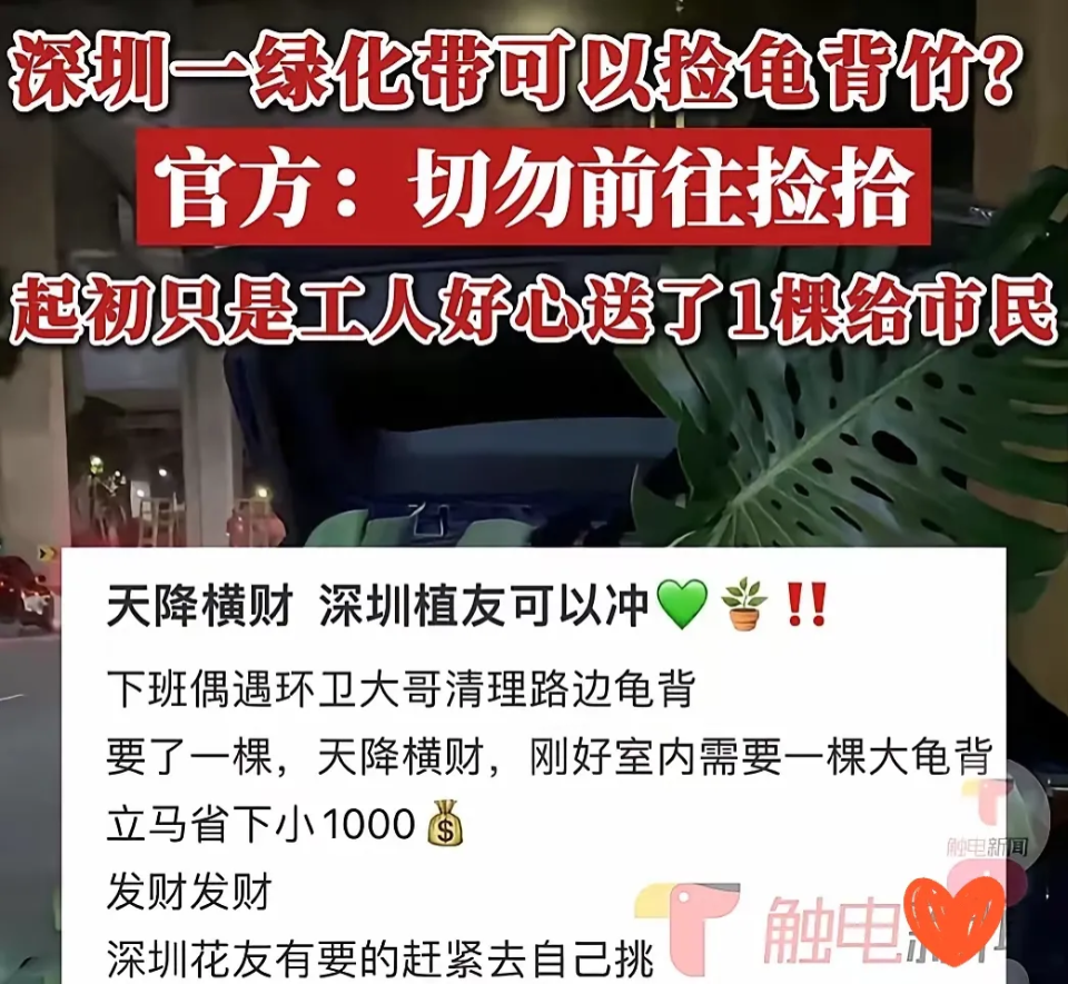 深圳一哥们儿下班路上捡了个