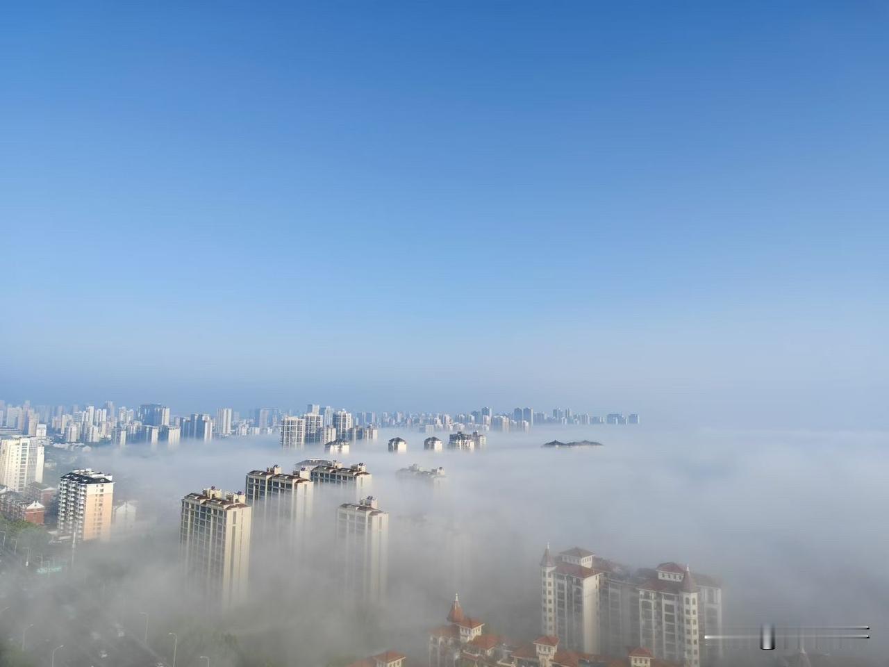 合肥今天云雾缭绕，人间仙境～