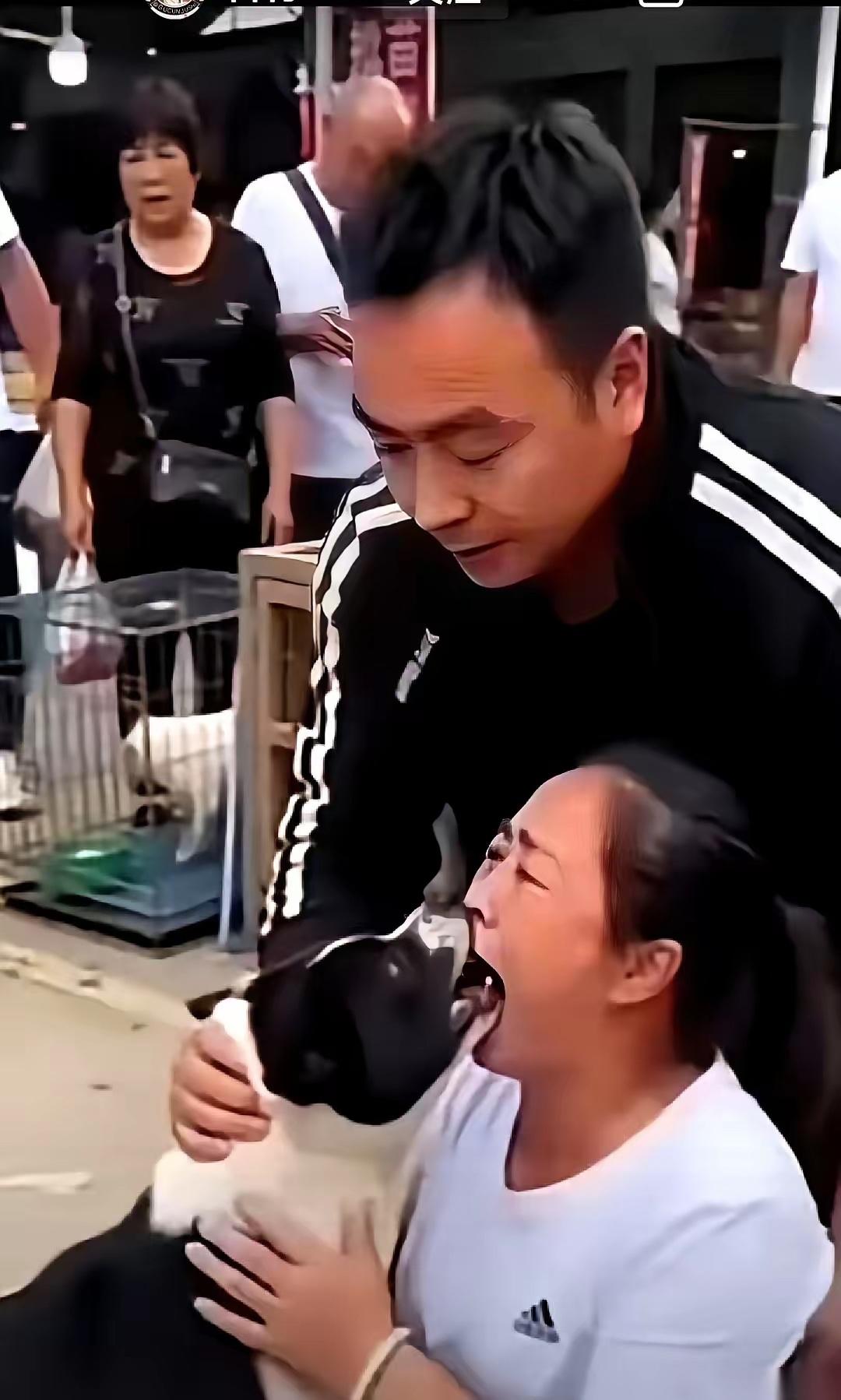 “它是我亲儿子，从来不咬人！”大妈抱着狗，冲着周围一圈人喊。为了证明，她低下头，