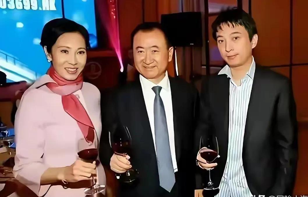 王健林的限高消费已经撤销项立刚说话了不要批倒斗臭看热闹，一个实体企业做起来很
