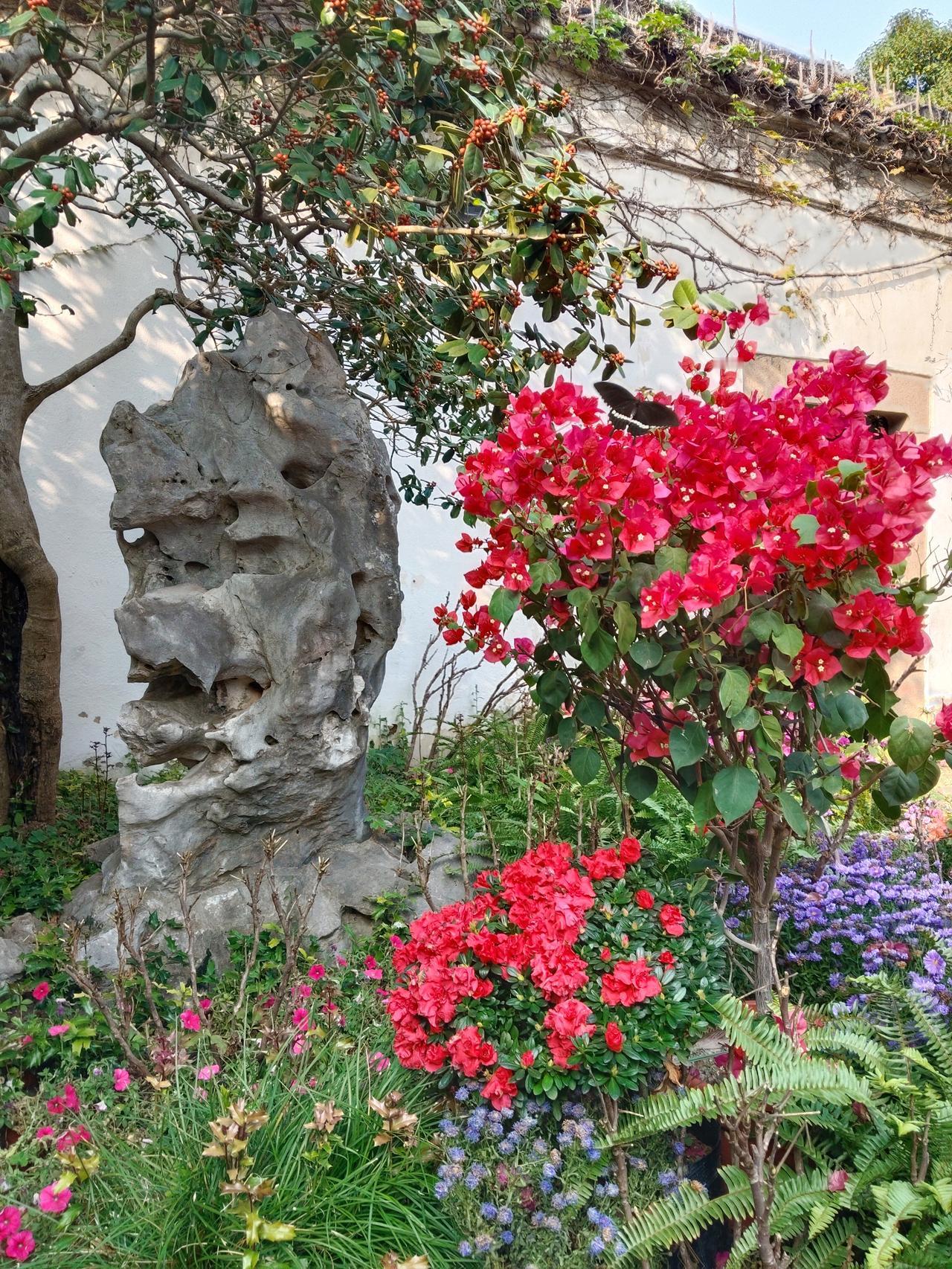 花粉季别只打喷嚏！它还可能变成“哮喘杀手”！大家好呀！又到了每年令人又爱又恨