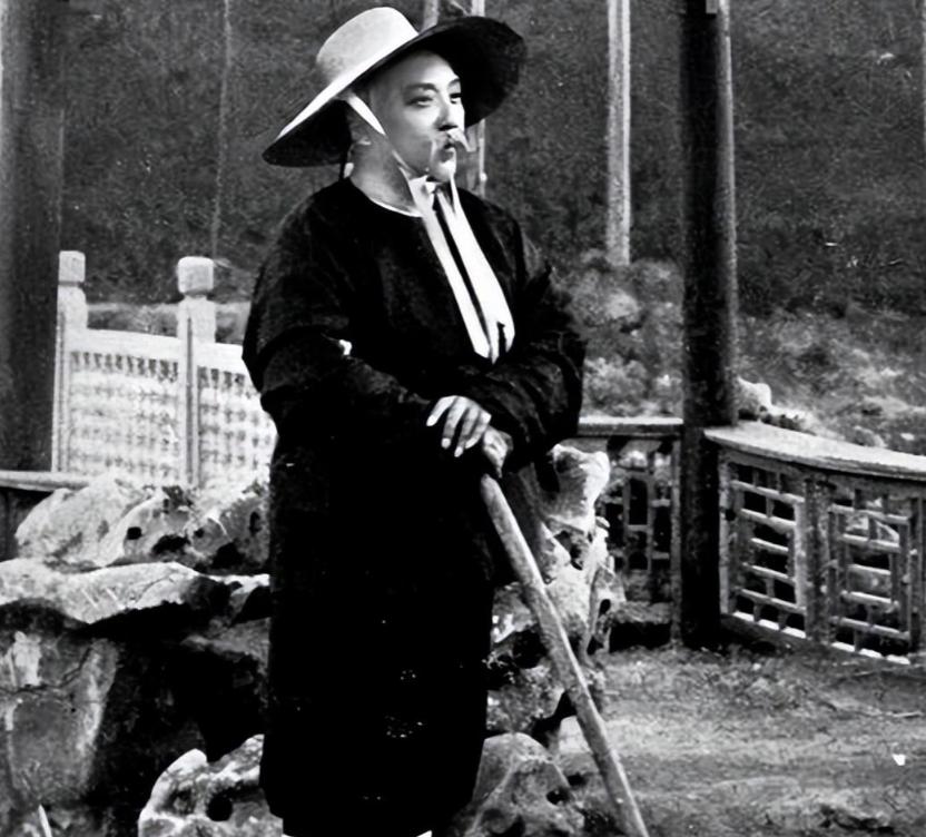 1916年盛夏，北京的天空压得人喘不过气。中南海内，袁世凯卧于病榻，窗外知了