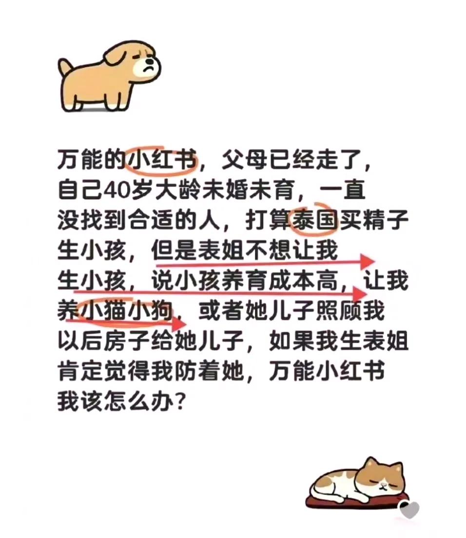 这当表姐的算盘打得真响，我隔着屏幕都听见了！只要你经济能扛得住、心理做好准备