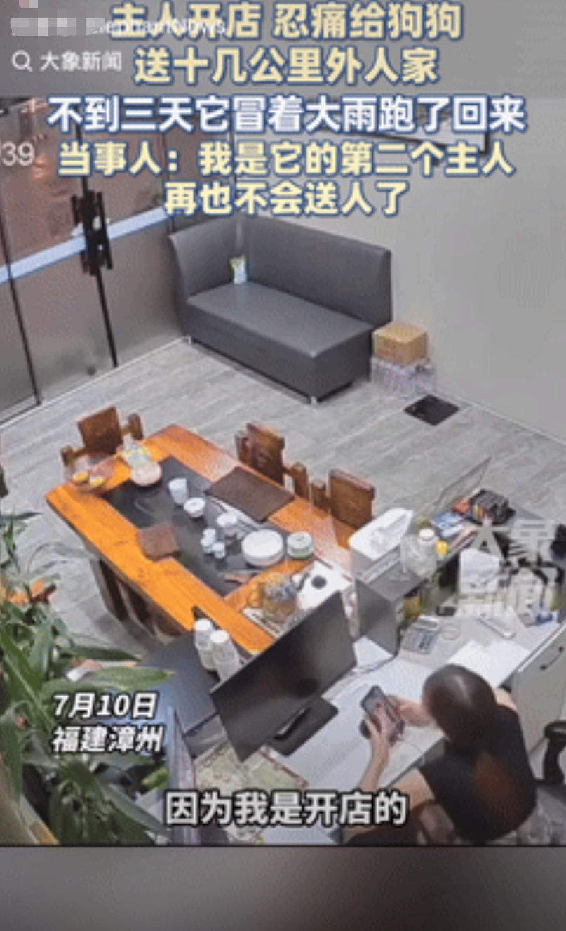“看哭了！”福建漳州，老板娘收养了一只流浪狗，因为担心小狗吓到客人，就将它送给了