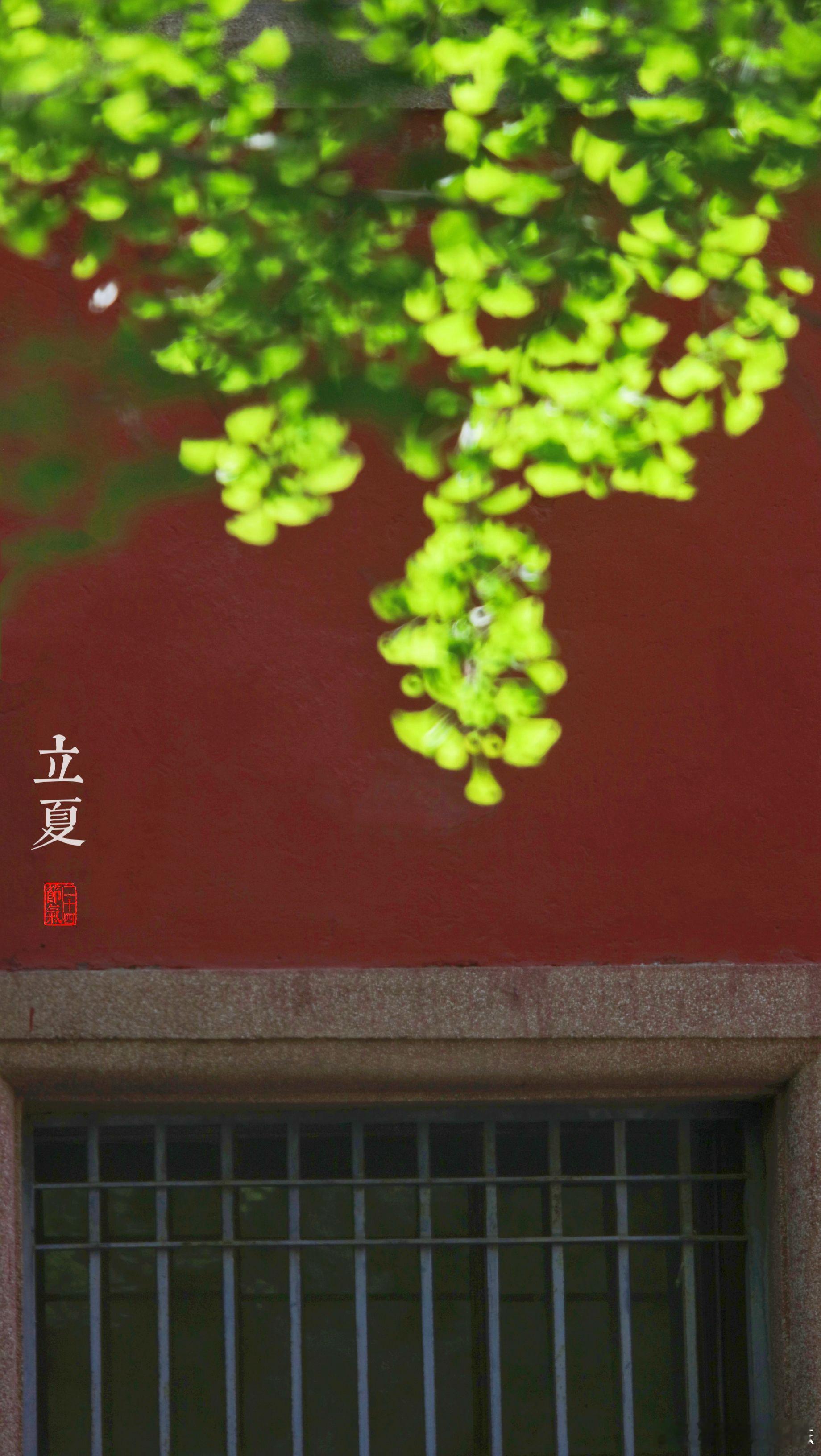 故宫|二十四节气之立夏摄影​​​
