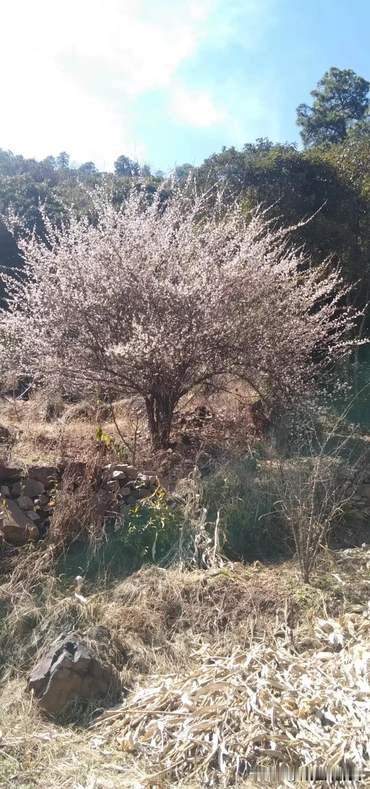 我喜欢买彩票，虽然没有中过奖，但是我还是喜欢买的，也少买，一个月五十元，今天买的