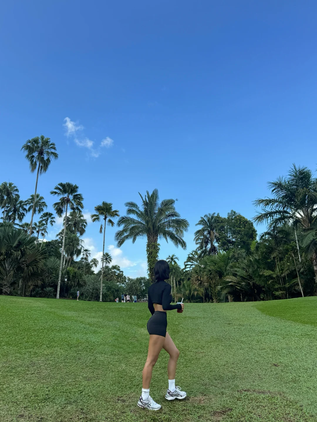 🇸🇬跑步的季节