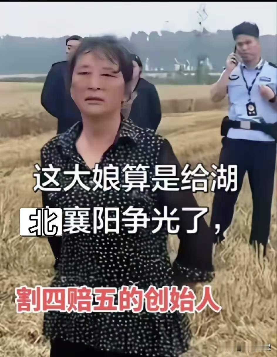 这500块砸手里了吧？河南小夫妻硬气回怼，襄阳这场闹剧终于大快人心！真解