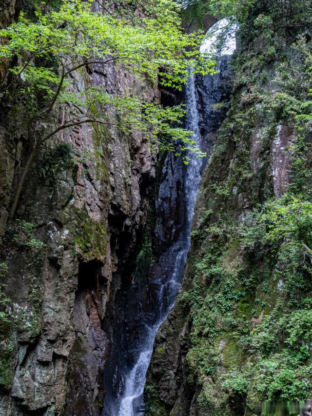 山林峡谷走一走，独享一汪山泉，治愈感拉满～